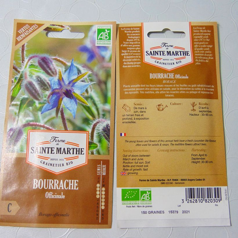 Example of White Borage - Ferme de Sainte Marthe seeds per pack of 50 seeds specimen as delivered