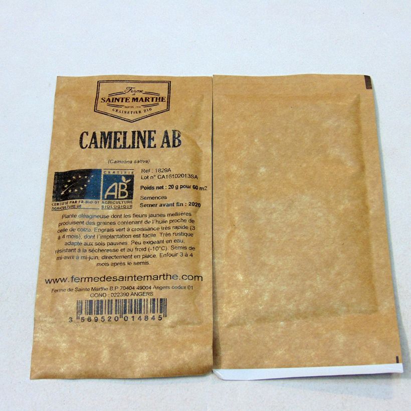 Example of Organic Camelina - Green Manure - Ferme de Sainte Marthe seeds - Gold-of-pleasure per 20 g seed pack specimen as delivered