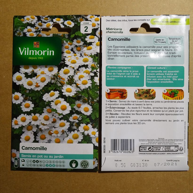 Example of German Chamomile - Vilmorin Seeds per pack of 6500 seeds (0,5g) specimen as delivered
