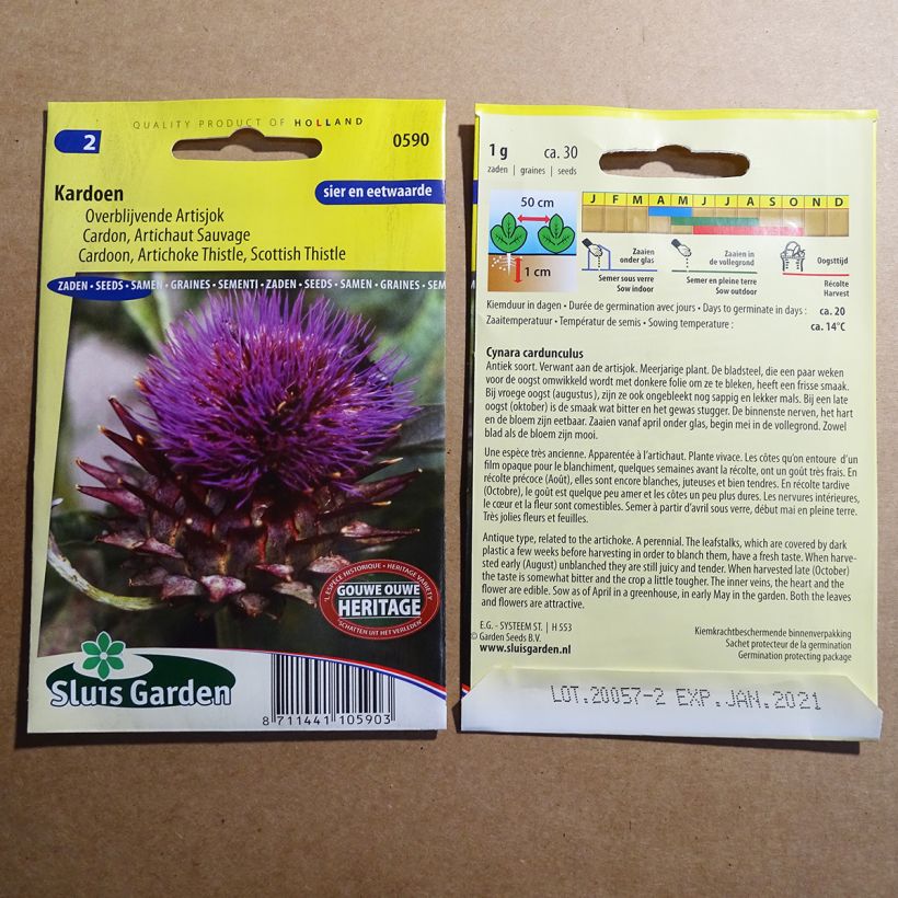 Example of Cardoon - Artichoke Thistle per pack of 20 seeds (0.8g) specimen as delivered