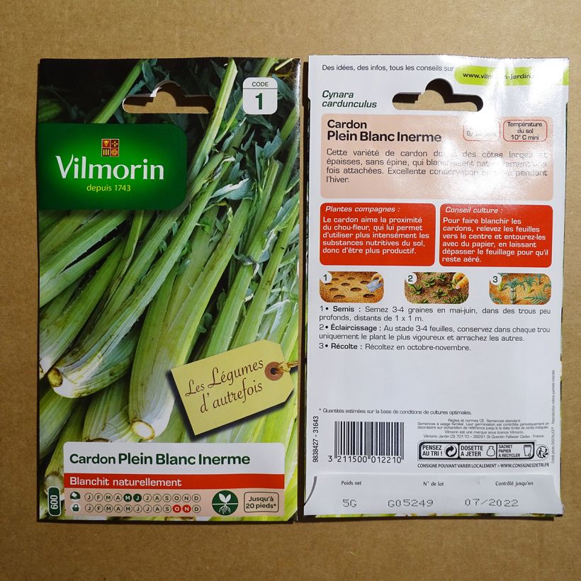Example of Cardoon Plein Blanc Inerme - Vilmorin Seeds per pack of 125 seeds (5g) specimen as delivered
