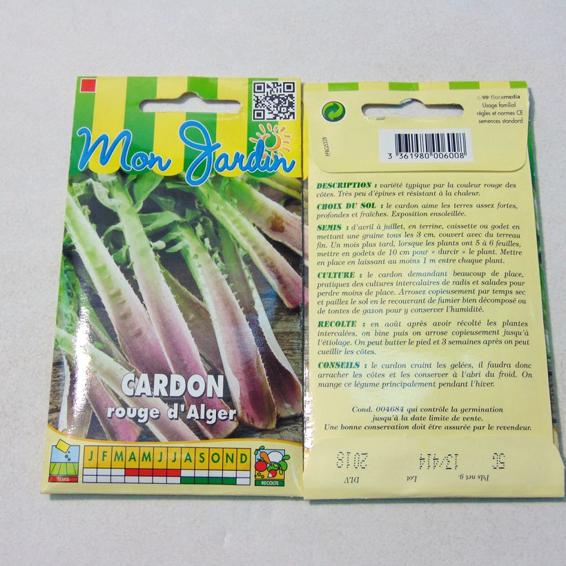 Example of Cardoon D'Alger - Cynara cardunculus per pack of 50 seeds (2g) specimen as delivered