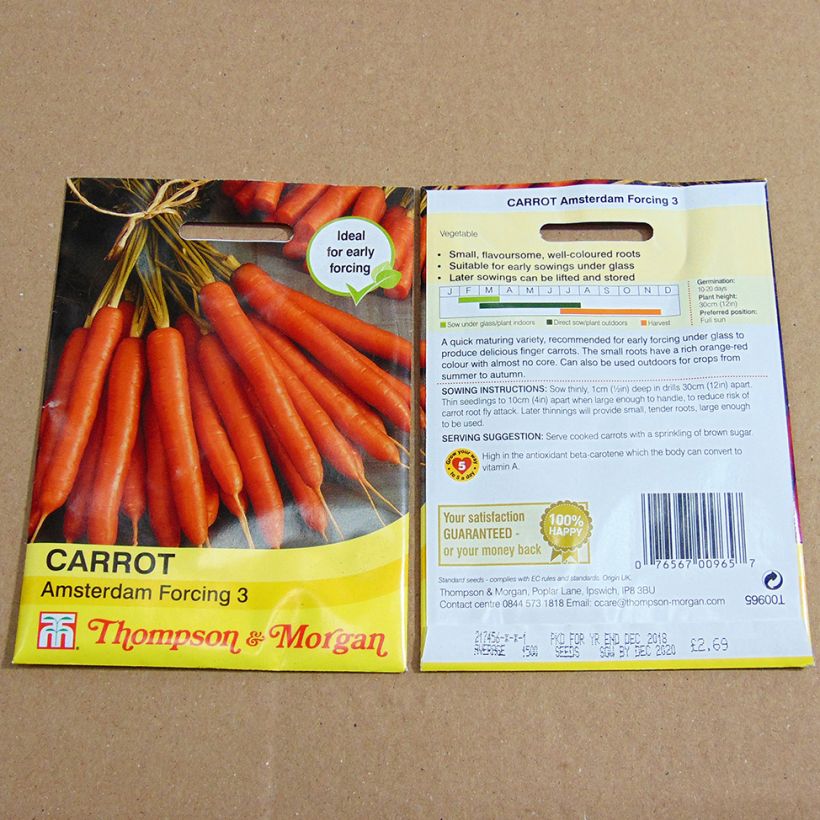 Example of Carrot Amsterdam Forcing 3 - Daucus carota per pack of 2000 seeds specimen as delivered