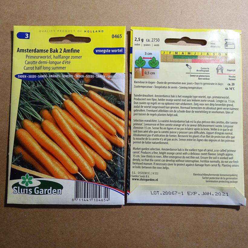Example of Carrot Amsterdam 2 specimen as delivered