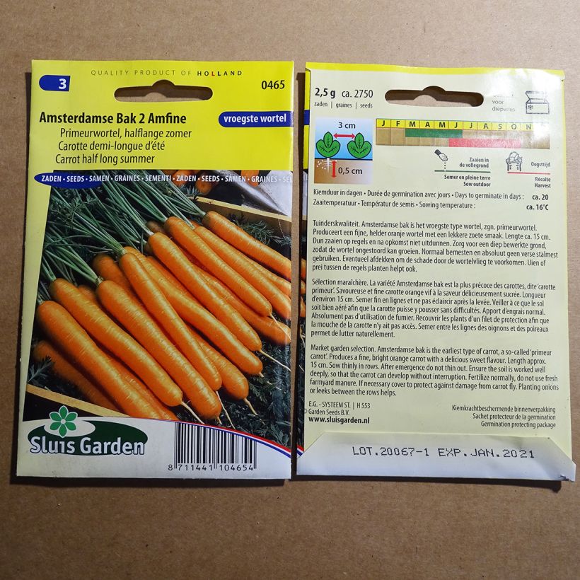 Example of Carrot Amsterdam 2 per pack of 2750 seeds (2g) specimen as delivered