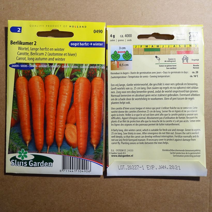 Example of Carrot Berlicum 2 per pack of 3600 seeds (5g) specimen as delivered