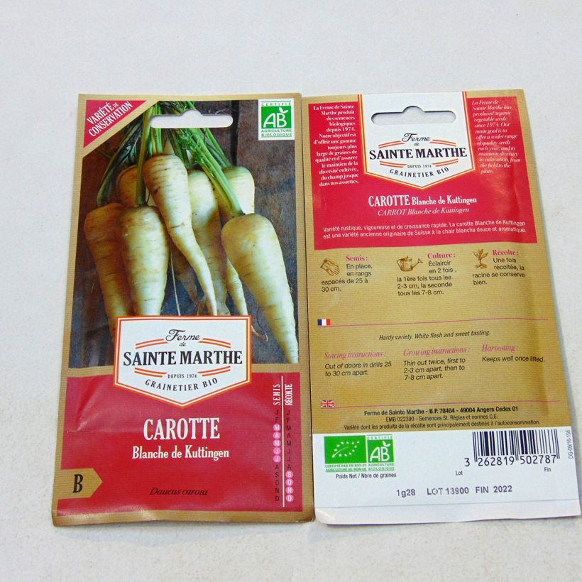 Example of White Carrot Blanche de Küttingen - Ferme de Sainte Marthe Seeds per pack of 500 seeds (1.35g) specimen as delivered