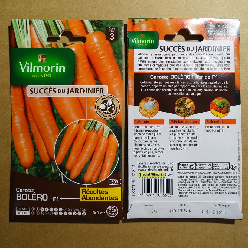 Example of Carrot Bolero F1 - Vilmorin Seeds per pack of 1500 seeds (3g) specimen as delivered