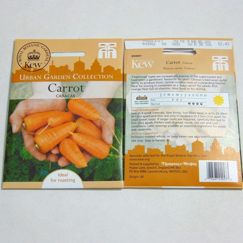 Example of Carrot Caracas - Daucus carota per pack of 500 seeds specimen as delivered
