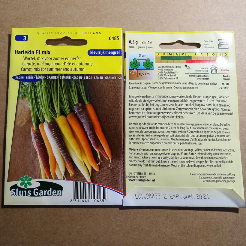 Example of Carrot Harlekin mix per pack of 400 ? 500 seeds (0,5g) specimen as delivered