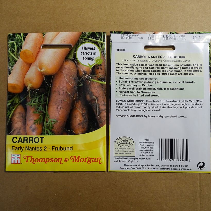 Example of Carrot Nantes 2 Frubund - Daucus carota per pack of 500 seeds specimen as delivered