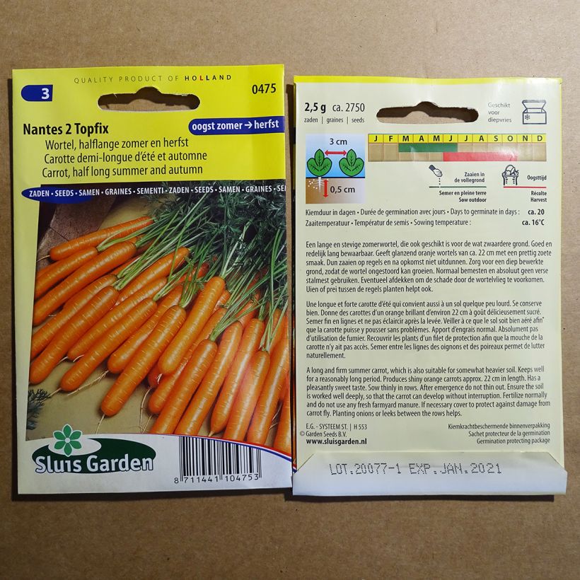 Example of Carrot Nantes 2 Topfix specimen as delivered
