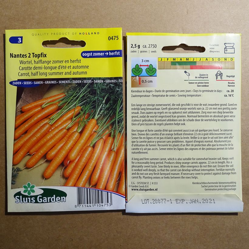 Example of Carrot Nantes 2 Topfix per pack of 2750 seeds (2g) specimen as delivered
