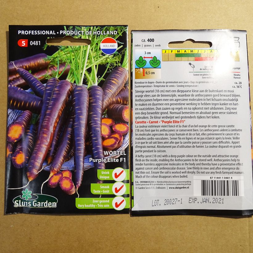 Example of Carrot Purple Elite F1 per pack of 400 seeds specimen as delivered