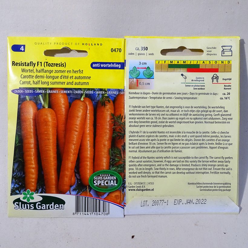 Example of Carrot Resistafly F1 per pack of 375 seeds specimen as delivered