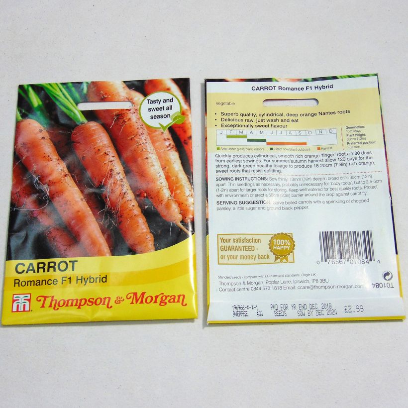 Example of Carrot Romance - Daucus carota per pack of 400 seeds specimen as delivered