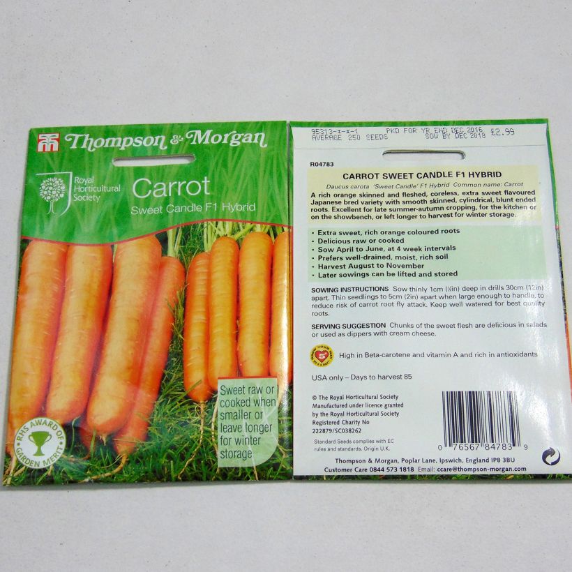 Example of Carrot Sweet Candle F1 - Daucus carota per pack of 300 seeds specimen as delivered