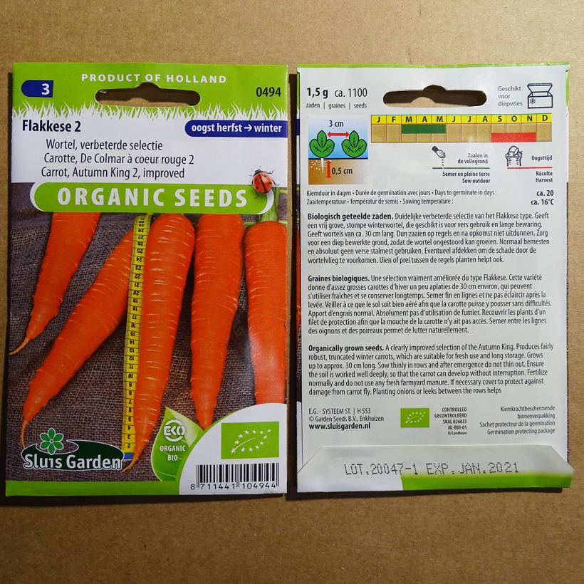 Example of Carrot Autumn King 2 per pack of 3000 seeds (4g) specimen as delivered