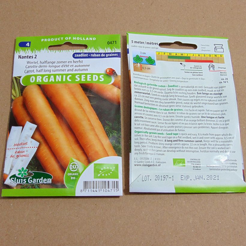 Example of Carrot Nantes 2 - Seed Tape per 5 g seed pack specimen as delivered
