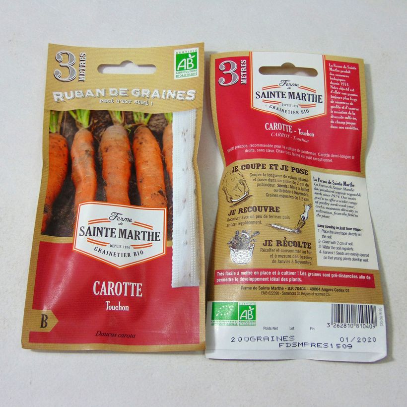 Example of Carrot Touchon Ribbon Seeds - Ferme de Sainte Marthe seeds Ribbon seeds specimen as delivered