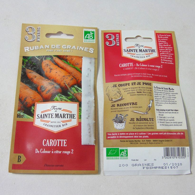 Example of Carrot Autumn King 2 Ribbon Seeds - Ferme de Sainte Marthe seeds Ribbon seeds specimen as delivered