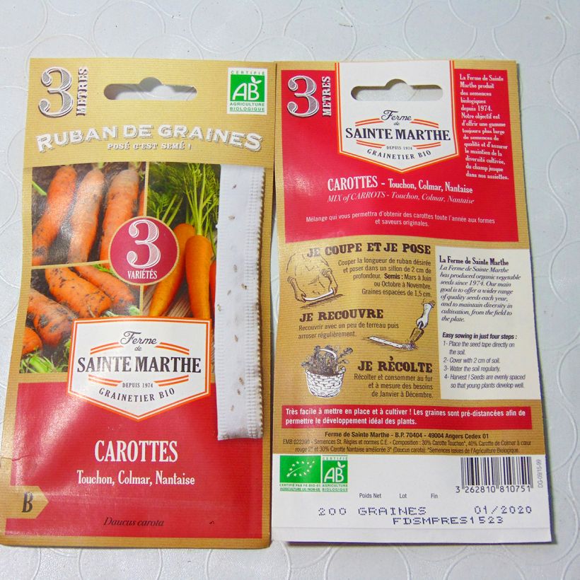 Example of Daucus carota  Ribbon seeds specimen as delivered