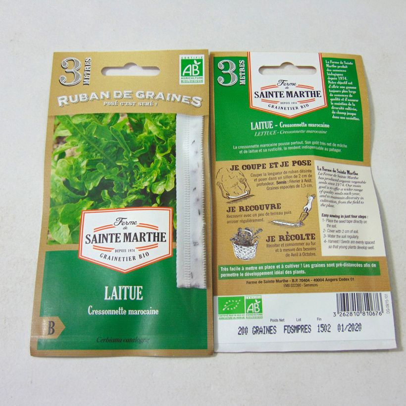 Example of Lactuca sativa var. crispa Radichetta Ribbon seeds specimen as delivered