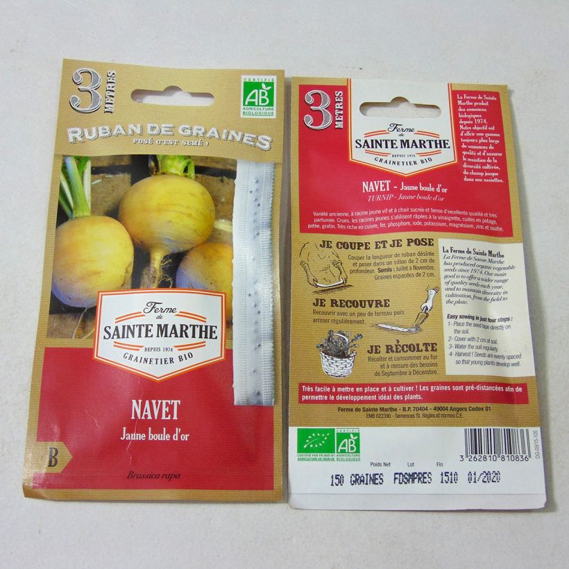 Example of Carte ruban de Navet Jaune Boule dOr Bio - Ferme de Sainte Marthe seeds Ribbon seeds specimen as delivered