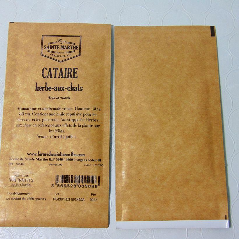Example of Nepeta cataria  per pack of 1000 seeds specimen as delivered