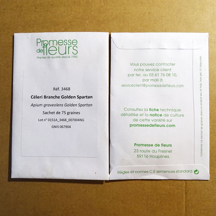 Example of Golden Spartan Celery - Apium graveolens per pack of 75 seeds specimen as delivered