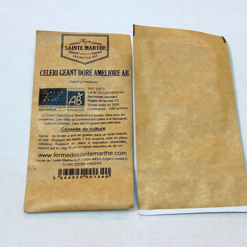 Example of Giant Golden Improved untreated Celery - Ferme de Sainte Marthe seeds per pack of 2500 seeds (3g) specimen as delivered