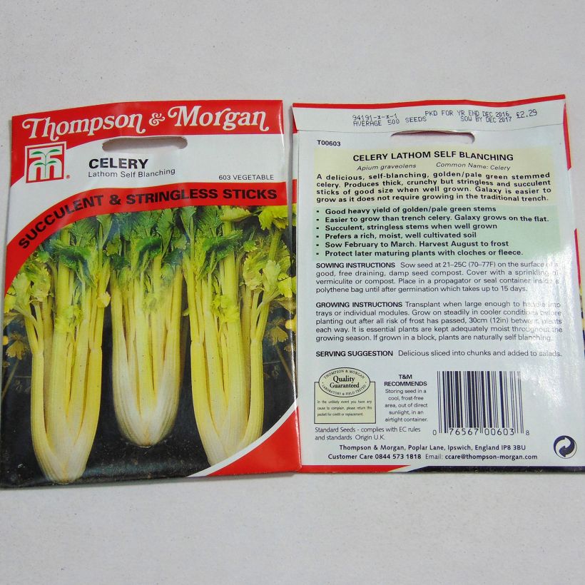 Example of Lathom Self Blanching Celery - Apium graveolens per pack of 500 seeds specimen as delivered