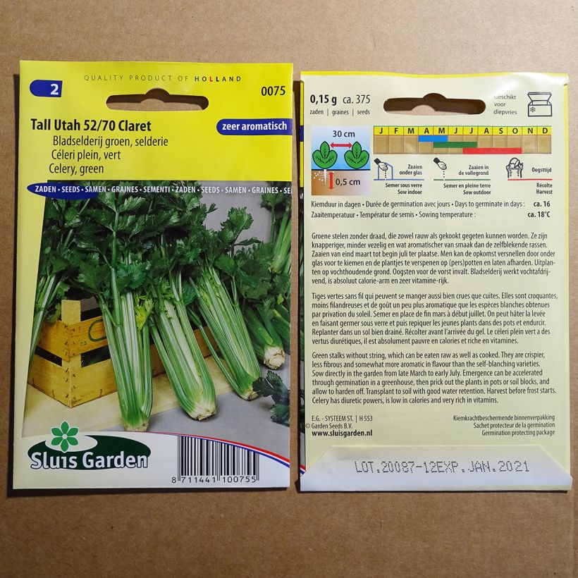 Example of Tall Utah 52/70 Claret Celery - Apium graveolens per pack of 375 seeds specimen as delivered