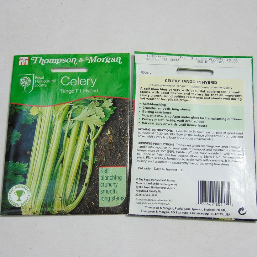 Example of Tango F1 Celery - Apium graveolens per pack of 150 seeds specimen as delivered
