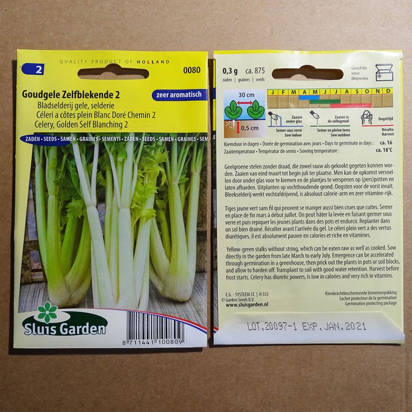 Example of Golden White Ribs 2 Celery - Apium graveolens per pack of 875 seeds (3g) specimen as delivered