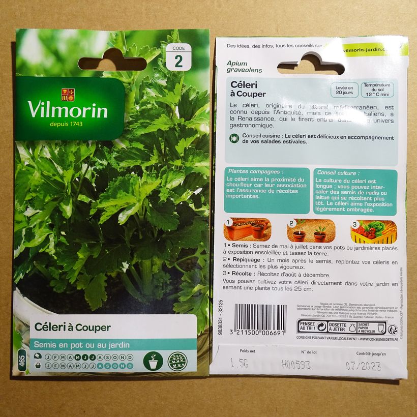 Example of Leaf Celery - Vilmorin Seeds per pack of 2500 seeds (1g) specimen as delivered