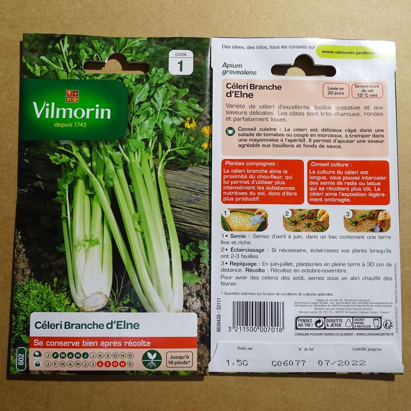 Example of Celery Elne - Vilmorin Seeds per pack of 2500 seeds (1g) specimen as delivered