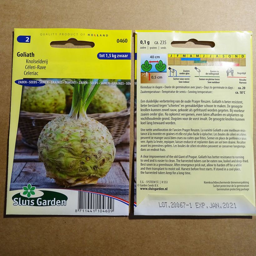 Example of Celeriac Goliath per pack of 235 seeds specimen as delivered