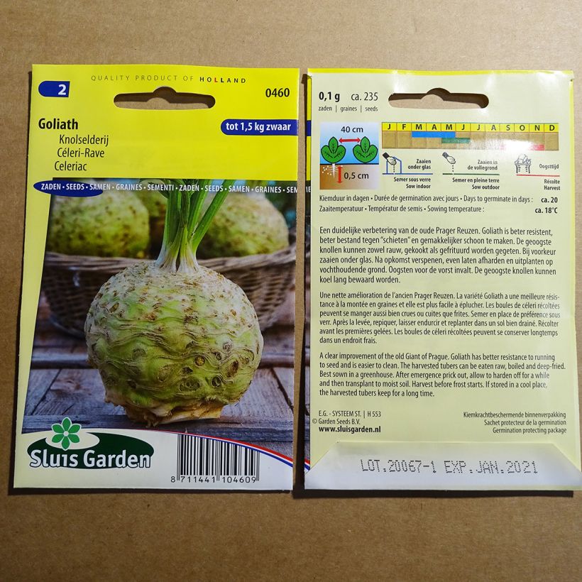 Example of Celeriac Goliath specimen as delivered