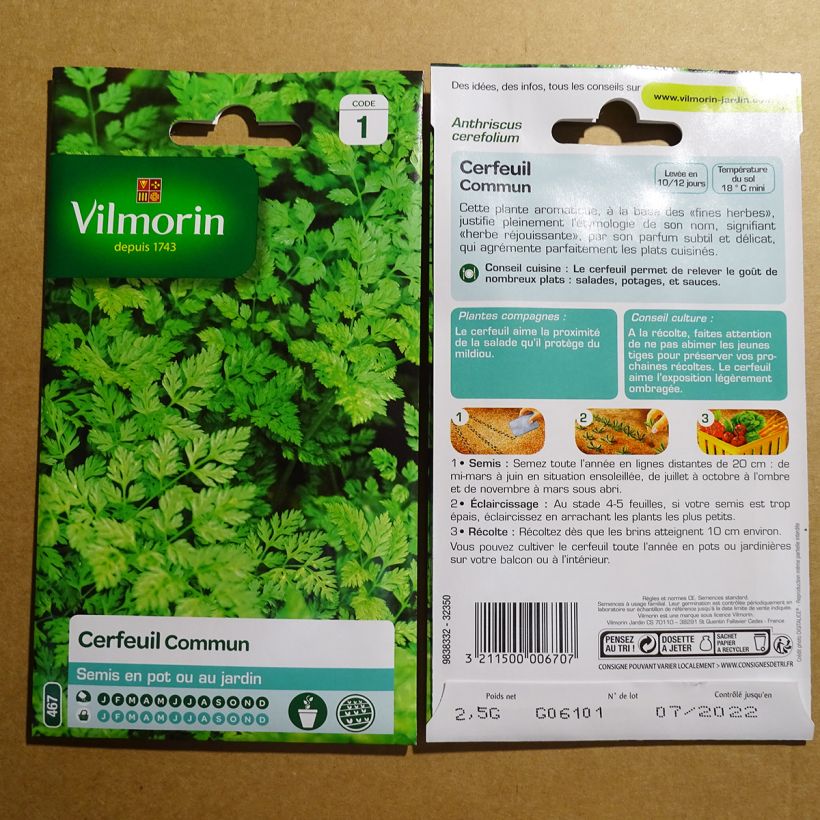 Example of Chervil - Vilmorin Seeds per pack of 60 seeds (2g) specimen as delivered