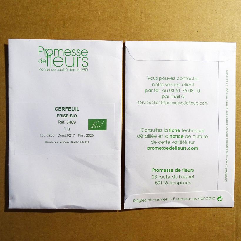 Example of Curled Chervil per pack of 500 seeds (1,5g) specimen as delivered