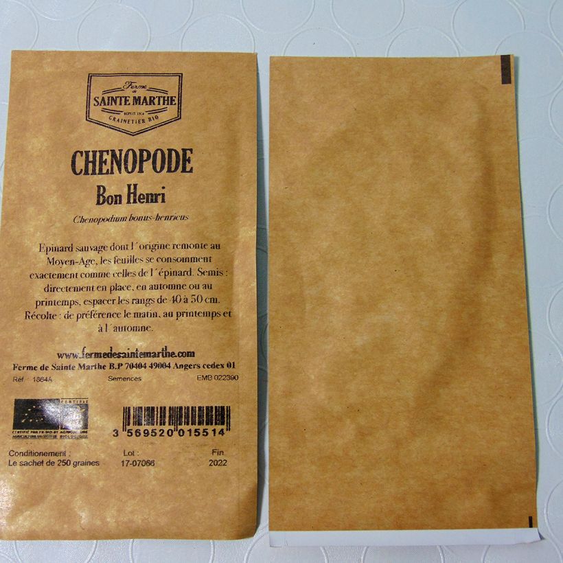 Example of Chenopodium bonus-henricus  per pack of 250 seeds specimen as delivered