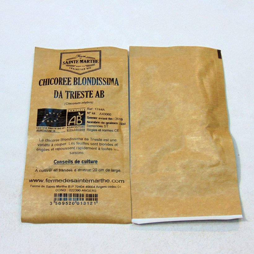 Example of Chicory Biondissima Da Trieste - Ferme de Sainte Marthe Seeds per pack of 500 seeds specimen as delivered