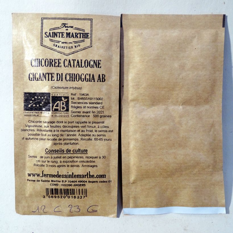 Example of Organic Chicory Catalogna Gigante di Chioggia - Ferme de Sainte Marthe seeds - Cichorium intybus per pack of 500 seeds specimen as delivered