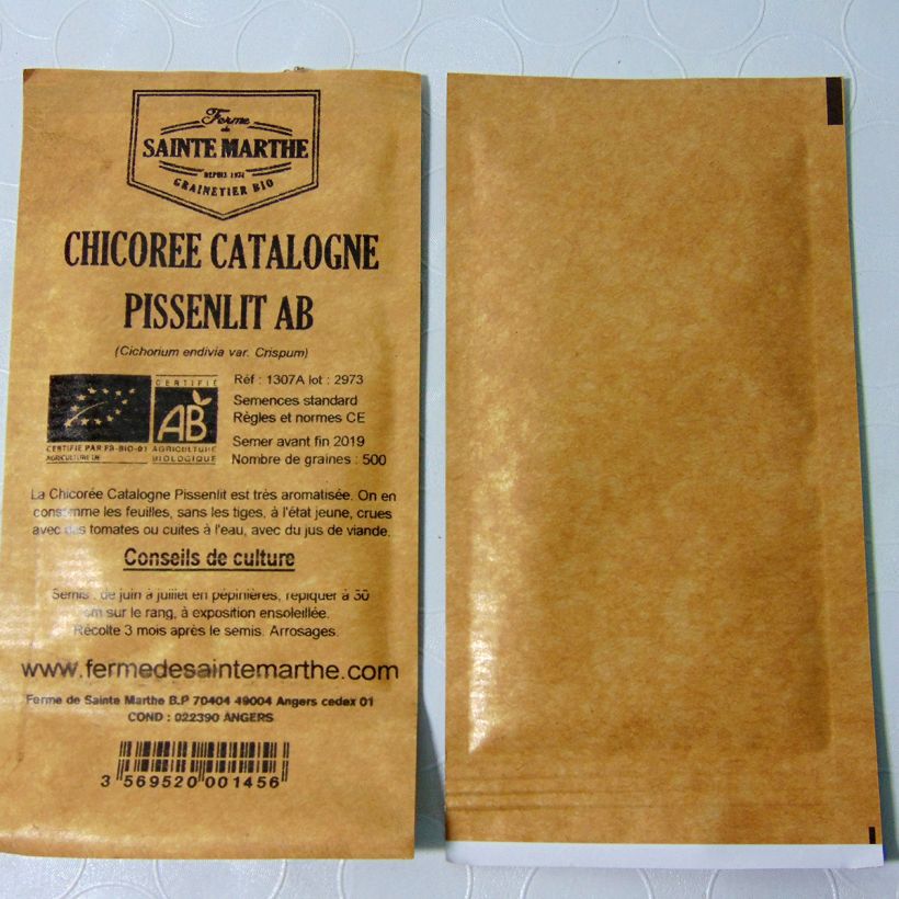 Example of Catalogna Chicory - Ferme de Sainte Marthe Seeds per pack of 500 seeds specimen as delivered