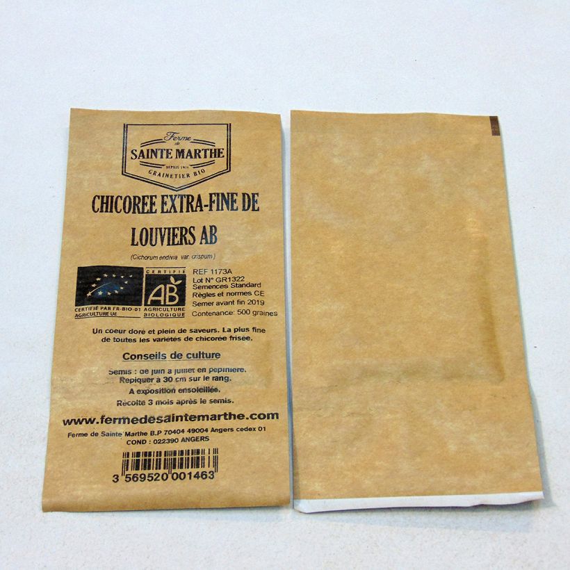 Example of Organic Chicory Fine de Louviers - Ferme de Sainte Marthe seeds - Cichorium endivia var. crispum per pack of 500 seeds specimen as delivered