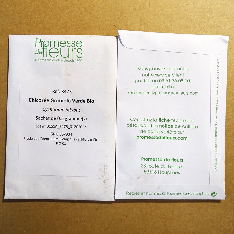 Example of Chicory Grumolo Verde Organic per pack of 300 seeds (0.5g) specimen as delivered