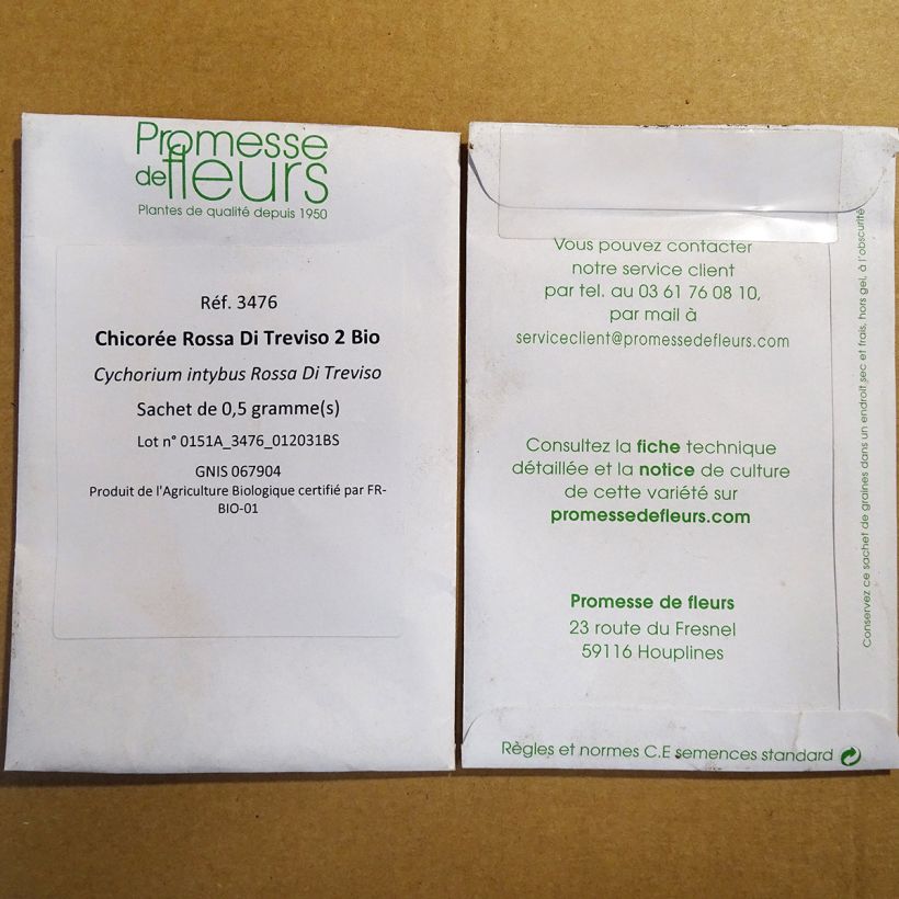 Example of Organic Chicory Rossa Di Treviso 2 - Cichorium intybus per pack of 300 seeds (0.5g) specimen as delivered