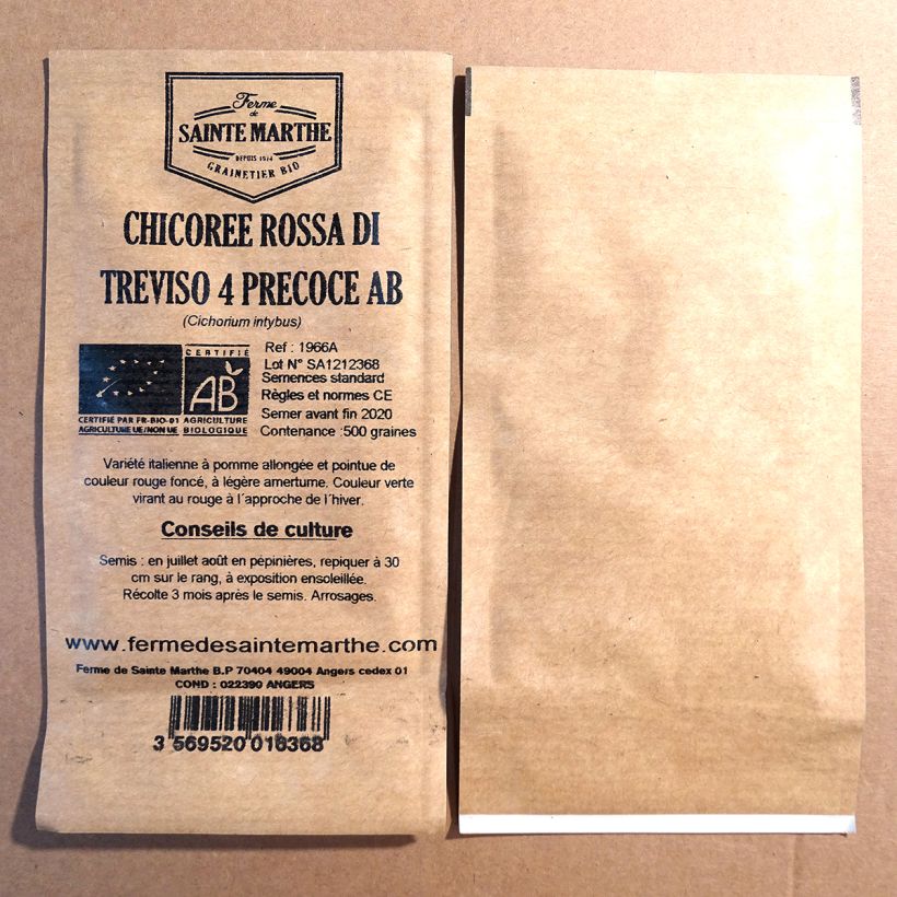 Example of Chicory (Radicchio) Rossa di Treviso 4 - Ferme de Sainte Marthe Seeds per pack of 500 seeds specimen as delivered
