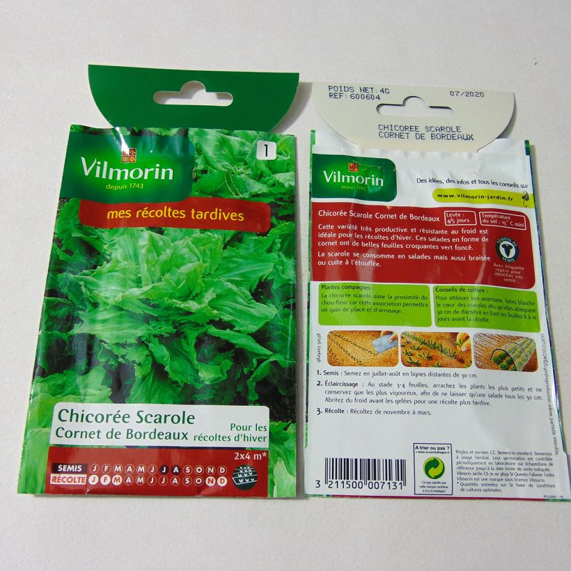 Example of Escarole Cornet de Bordeaux - Vilmorin Seeds per pack of 2400 seeds (4g) specimen as delivered